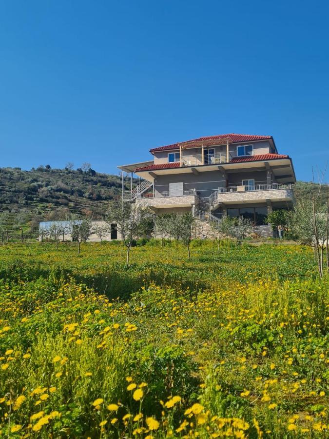 Guest House Ilir Berat Extérieur photo